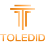 Logo Toledid agence création de site web optimisé SEO abordable avec le nom