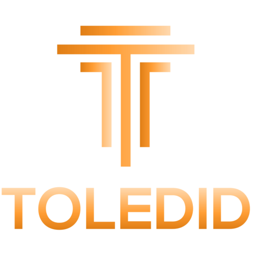 Logo Toledid agence création de site web optimisé SEO abordable avec le nom